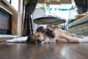 Come see how an outdated RV was transformed into a Mountain Modern Motorhome! #RVremodel #RVrenovation #camperremodel #camperrenovation #campermakeover #RVmakeover #mountainmodernlife #rusticmodern #mountainmodern #tinyhome #beforeafter