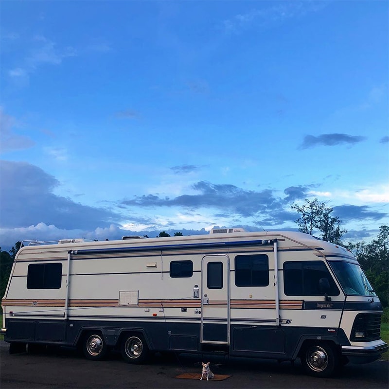 This couple lives on a blueberry farm in their bohemian-inspired RV! View the tour from @The_Ramblr_RV on MountainModernLife.com
