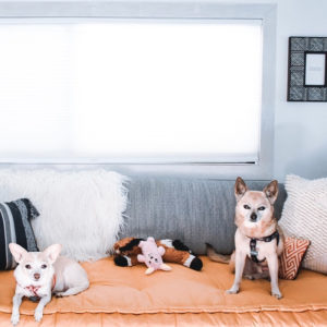 This couple lives on a blueberry farm in their bohemian-inspired RV! View the tour from @TheRamblrRV on MountainModernLife.com