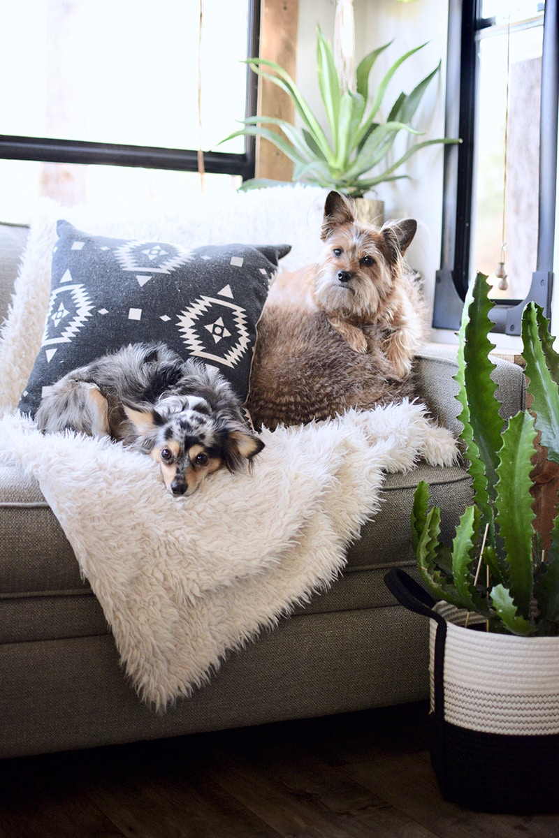 Tour this plant-filled travel trailer renovated with Southwestern vibes from @TinCanRamblers! See the before and after on MountainModernLife.com!