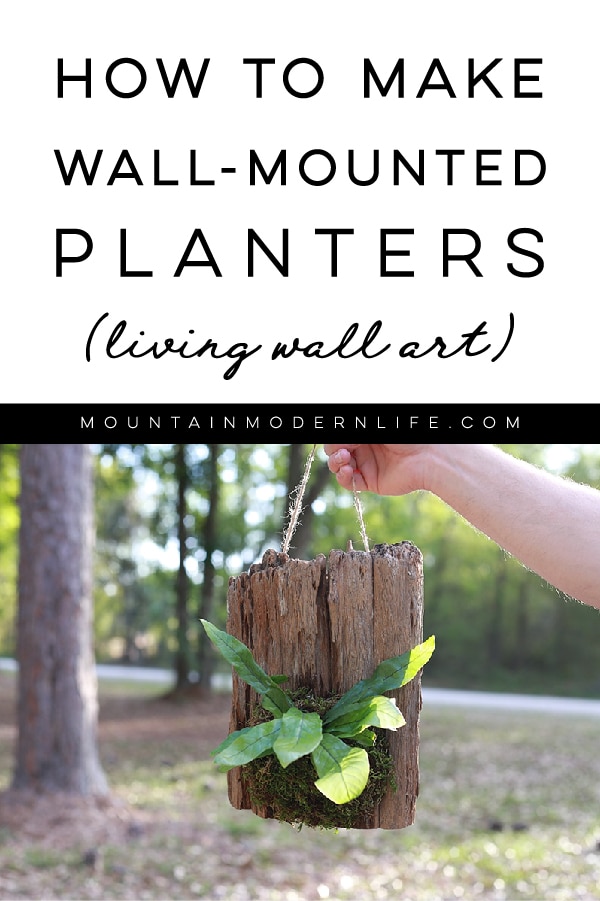 How to Make Living Wall Art