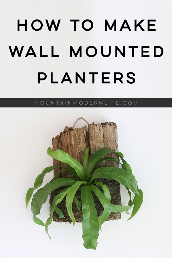 See how easy it is to make wall mounted plants on cork bark flats or driftwood! These are perfect for tiny living, purifying the air, or to keep out of reach from nibbling pets! MountainModernLife.com