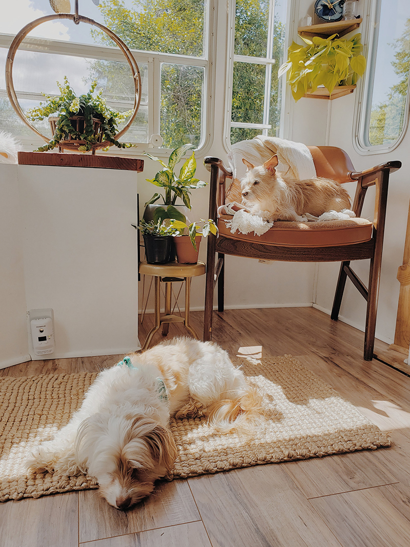 The interior of this bohemian 5th wheel is a botanical wonderland! Featuring @leeannieblivin on mountainmodernlife.com