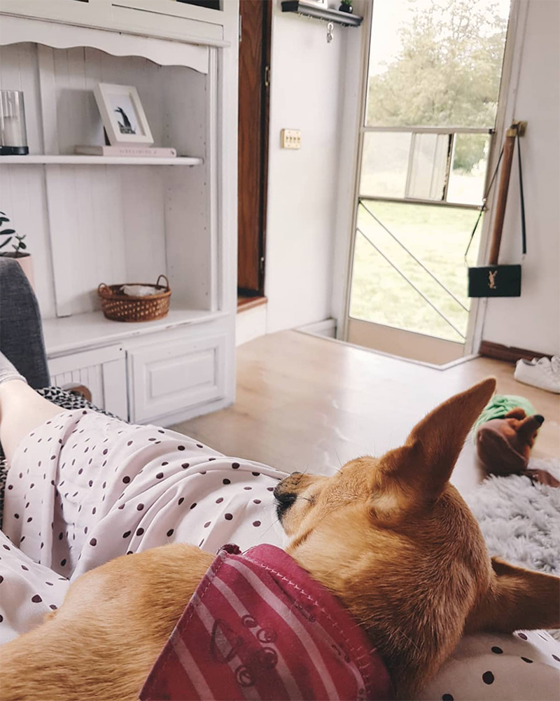 Check out this stylish caravan makeover from a couple that travels around Ireland! Featuring @fifthwheel.fixerupper on MountainModernLife.com