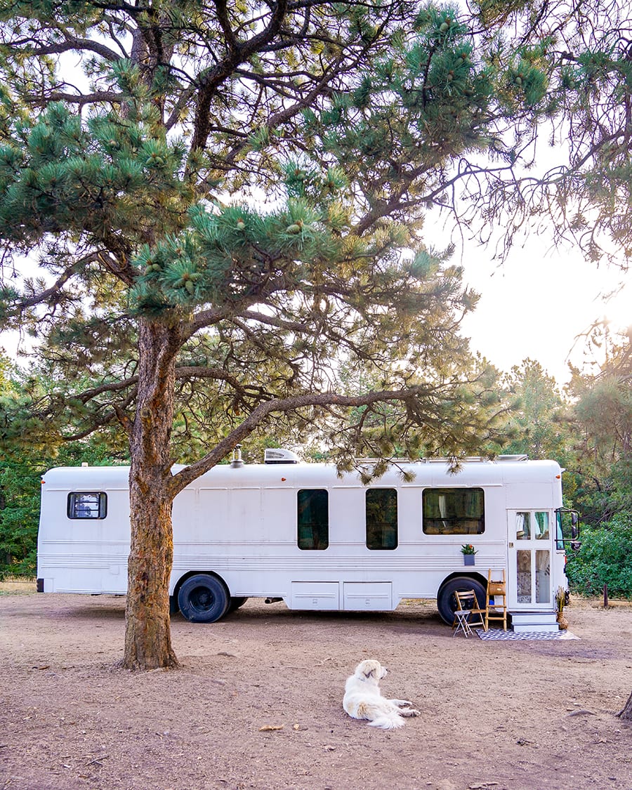 skoolie painted white with raised roof @happyhomebodies