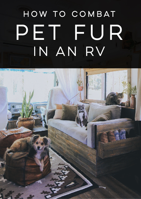 How to combat pet fur in an RV
