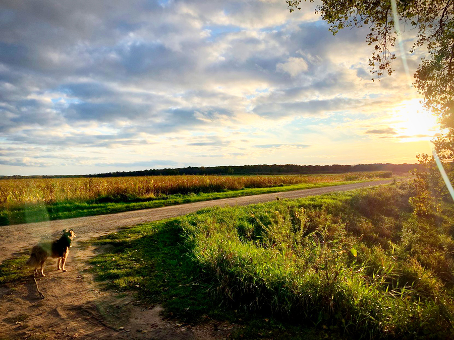 McNally on farm in Wisconsin