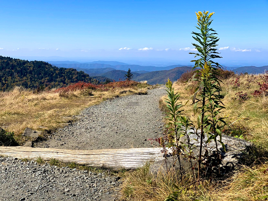 Why we said goodbye to full-time RV living