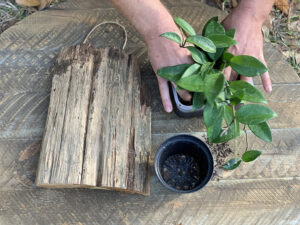making wood wall planter