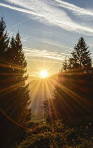 recurrent miscarriage