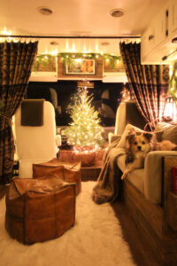 RV Christmas tree at night