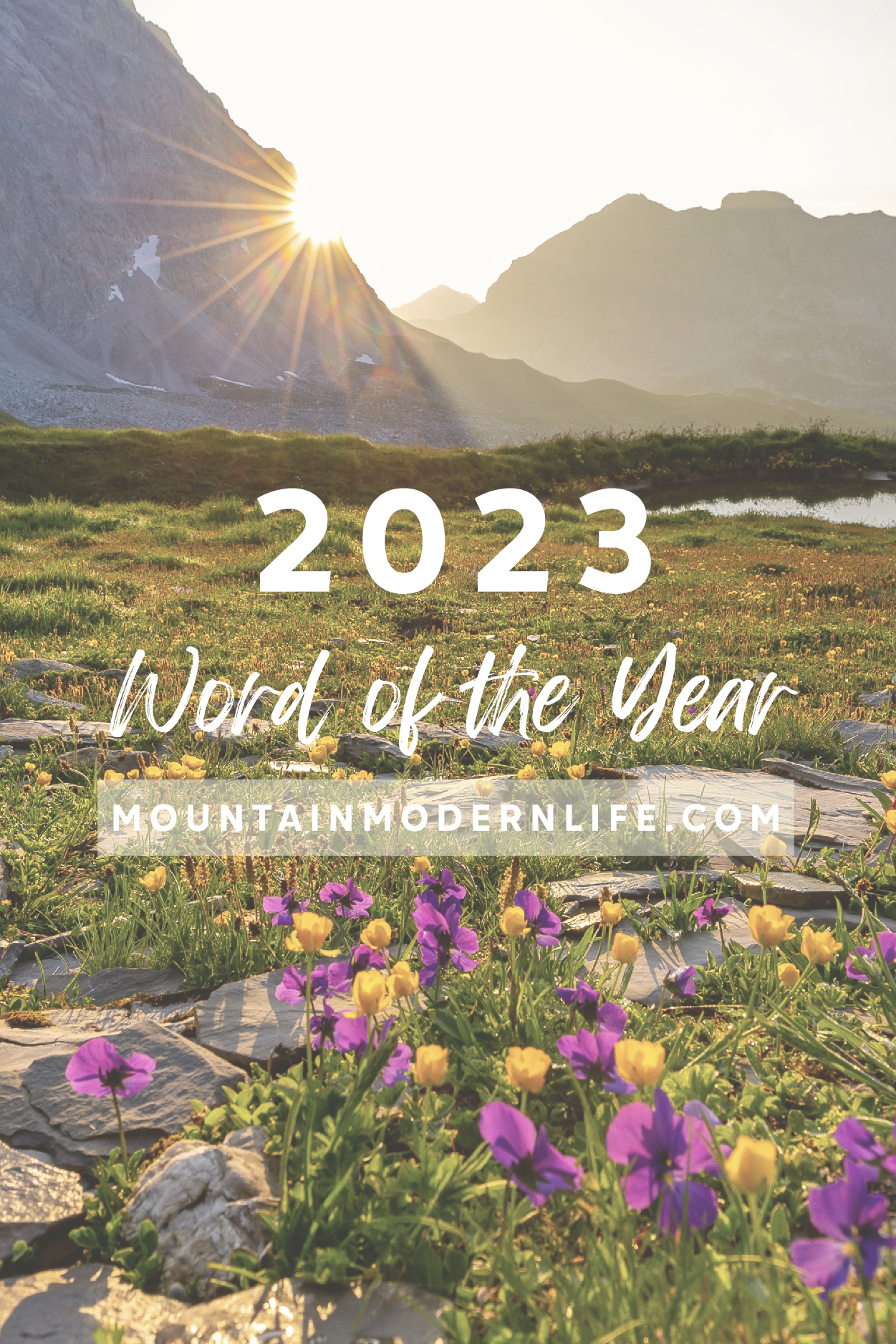 My 2023 WOTY (and an Announcement!)