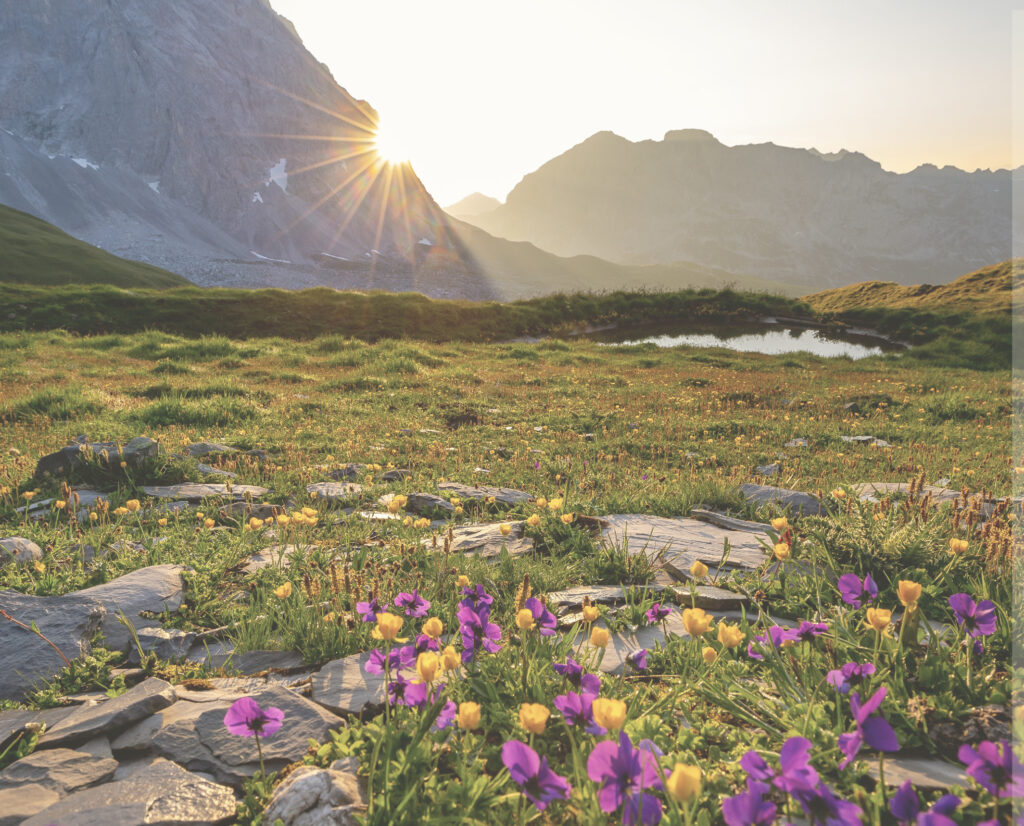 2023 Word of the Year (WOTY)