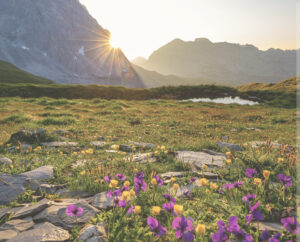 2023 Word of the Year (WOTY)