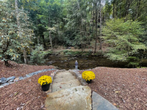 view from Blue Ridge mountain home backyard