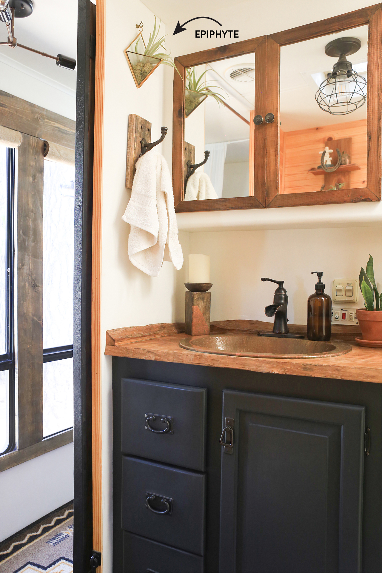 Rustic RV Bathroom with epiphyte airplant on wall